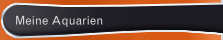 Meine Aquarien