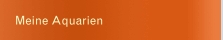 Meine Aquarien